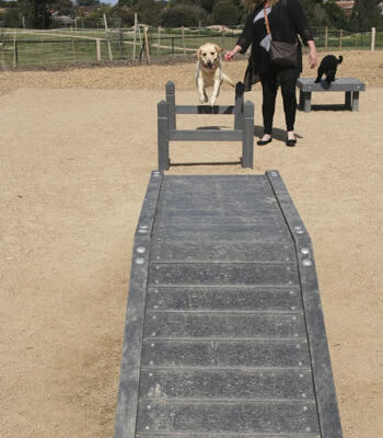 dog-agility-equipment-002