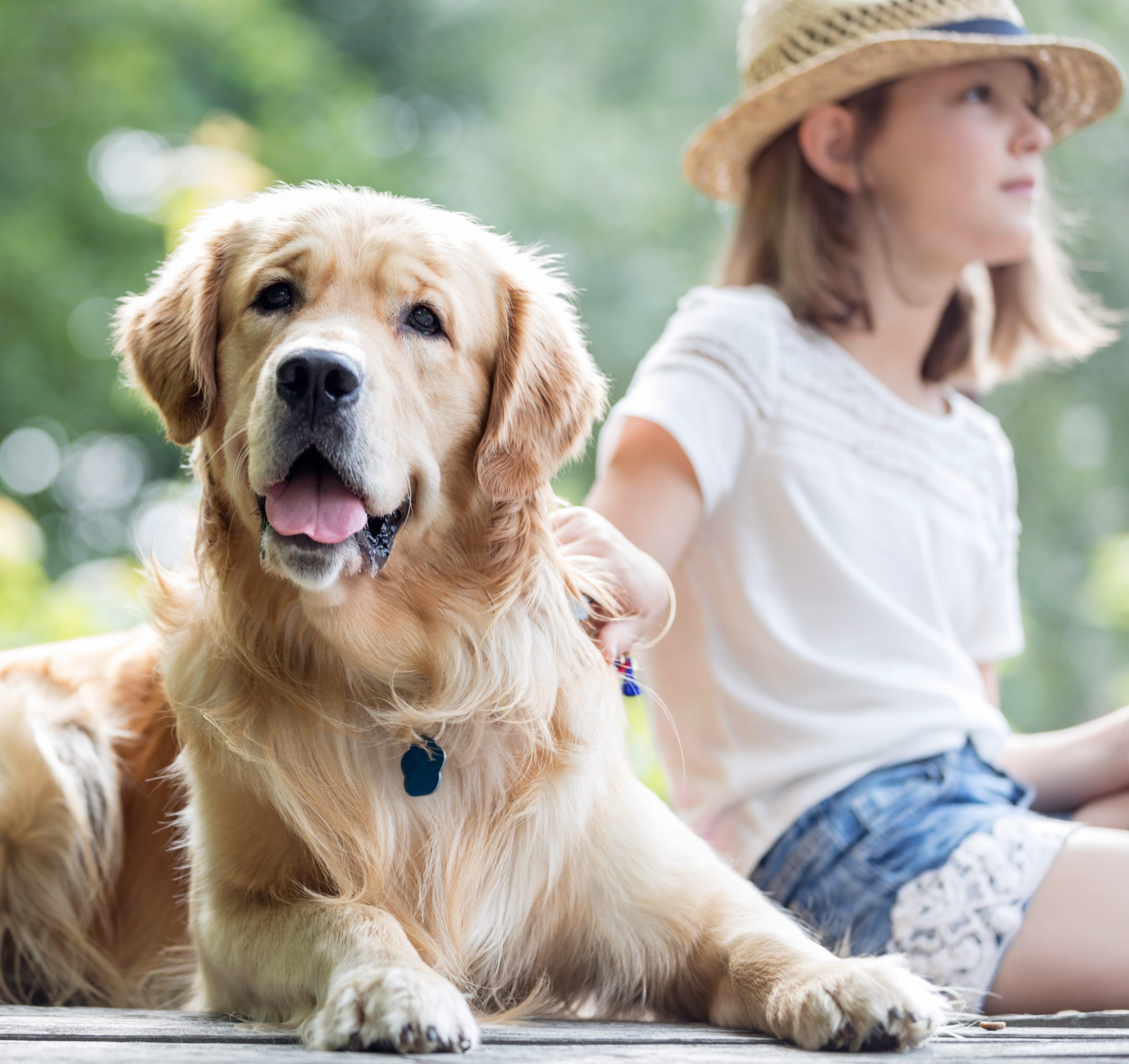 Responsible Pet Ownership – What Does it Mean?