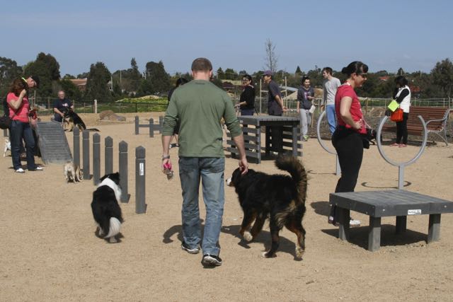 Planning for Dog Parks is Essential